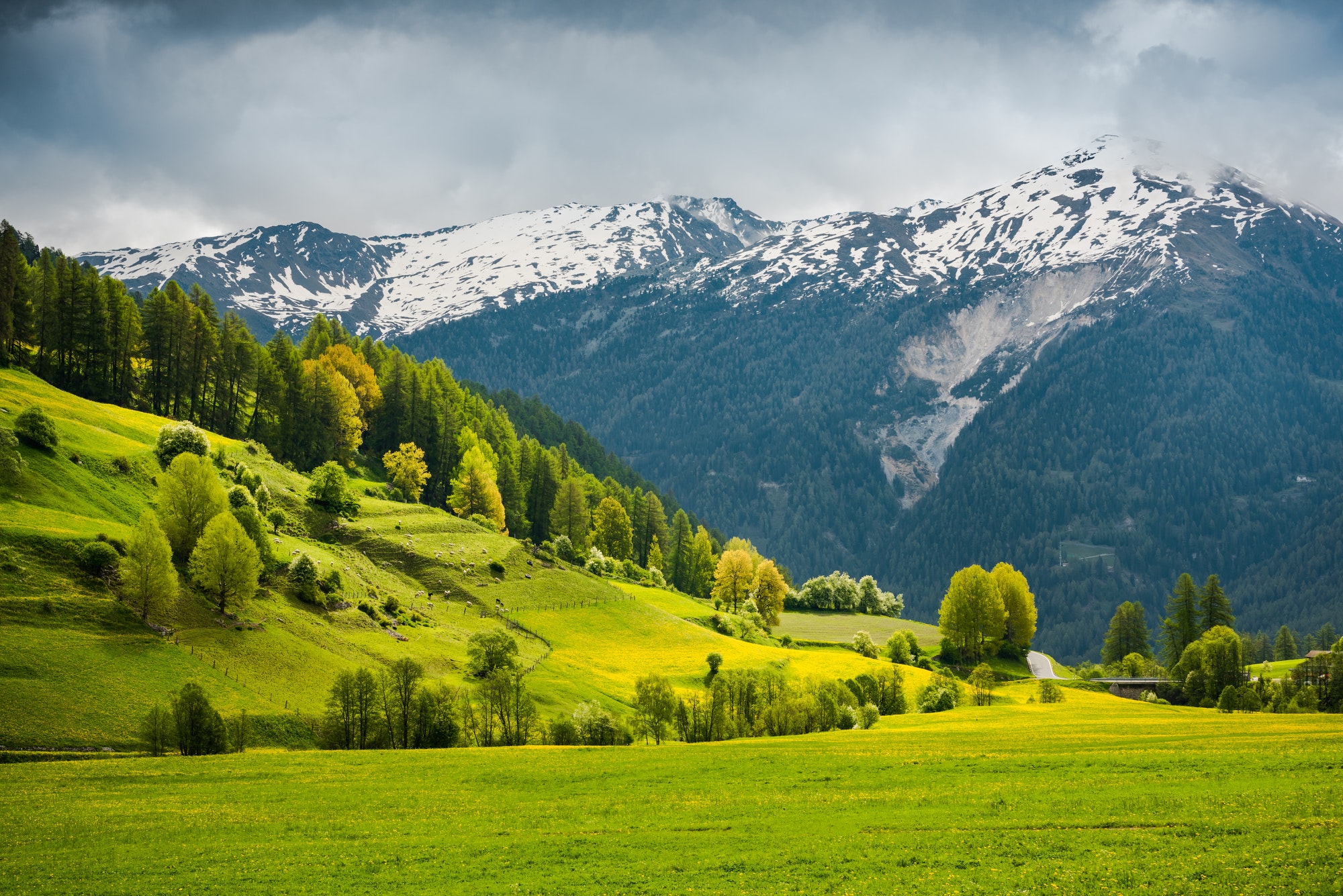 Breathtaking view over summer colors in alpine Switzerland